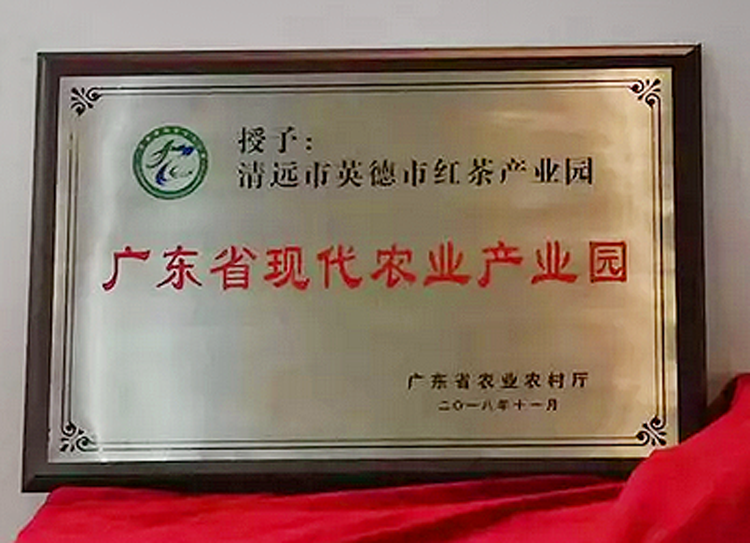 2019年陕西经济十强县_英德接过2019年第十五届中国茶业经济年会大旗,强势进入2018中国...