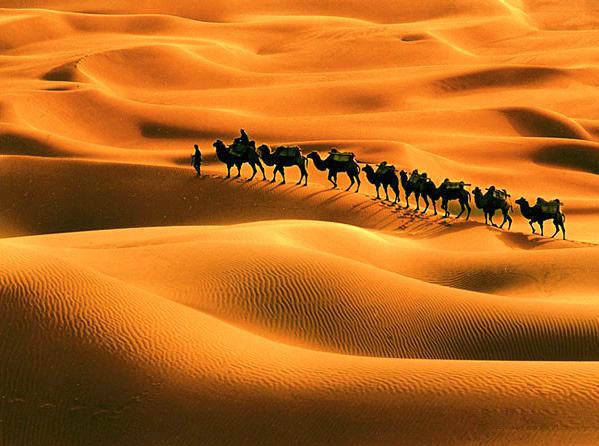 古道上,骆驼队川流不息,游人如织,那一串串驼铃声便成了悦耳的旋律