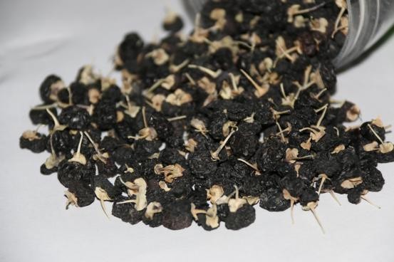 陈琪:十年援疆路半世枸杞情