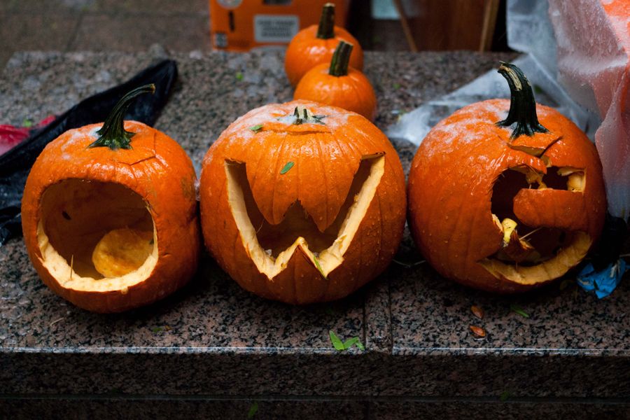 遭遇大雪 纽约抗议者雪中坚守 国际时政新闻 南