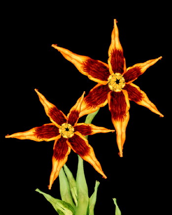 <em>绝美</em>的大量<em>人体艺术</em>奇妙组合图