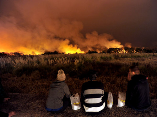 阿根廷首都湿地公园发生大面积火灾