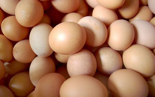 熟鸡蛋变生鸡蛋怎样做到?蛋清有助于保持大脑清醒