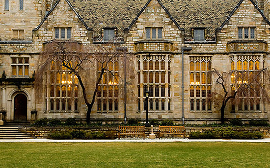 留学生家长耶鲁校园种菜 可施肥不许用杀虫剂