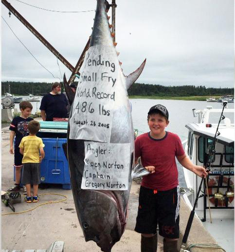 加拿大男孩钓到220公斤金枪鱼 和巨鱼僵持1小