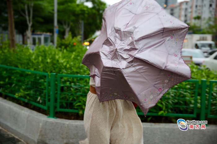 广州悬挂红色暴雨预警信号:大风大雨中的众生