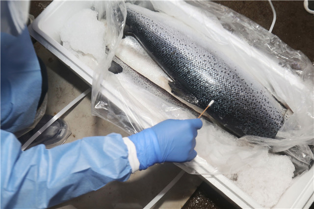 Can you catch COVID-19 from frozen or chilled food?