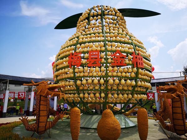 广东各地多形式庆祝首届农民丰收节