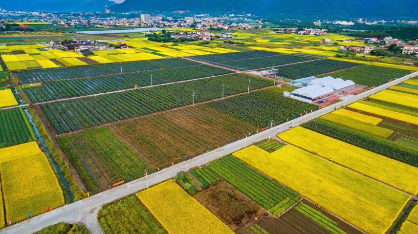 蕉岭县三圳镇芳心村