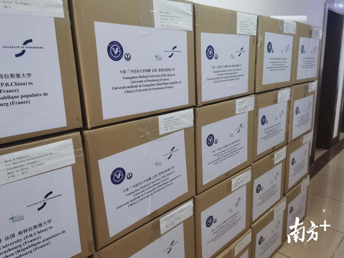 斯特拉斯堡大学2020_法甲斯特拉斯堡vs雷恩前瞻推荐2020-11-28