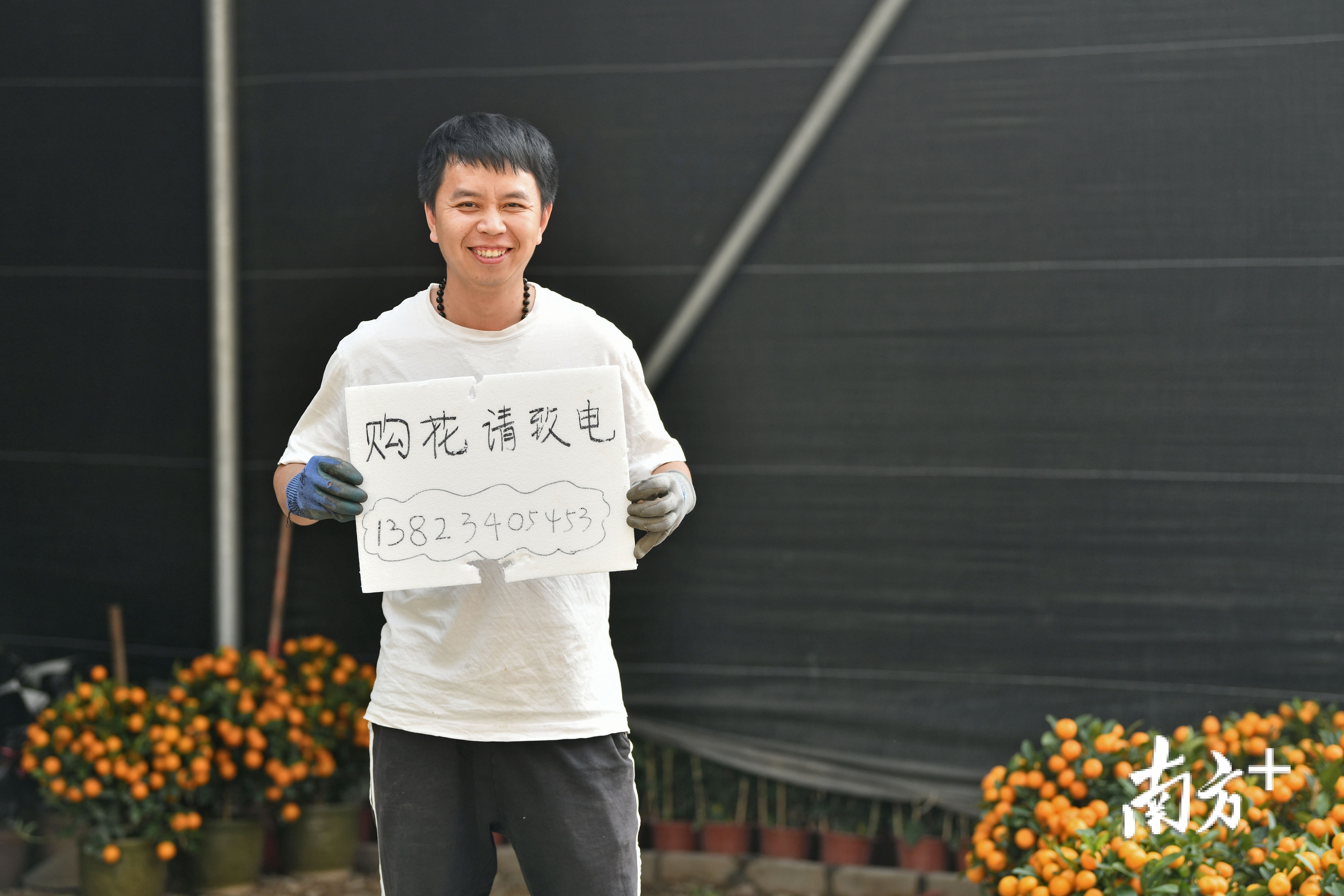 通过政府和社会各界的多项举措助力和积极自救，吴志江的年桔销售逐渐有了起色，脸上多日的愁容终于有了笑意。