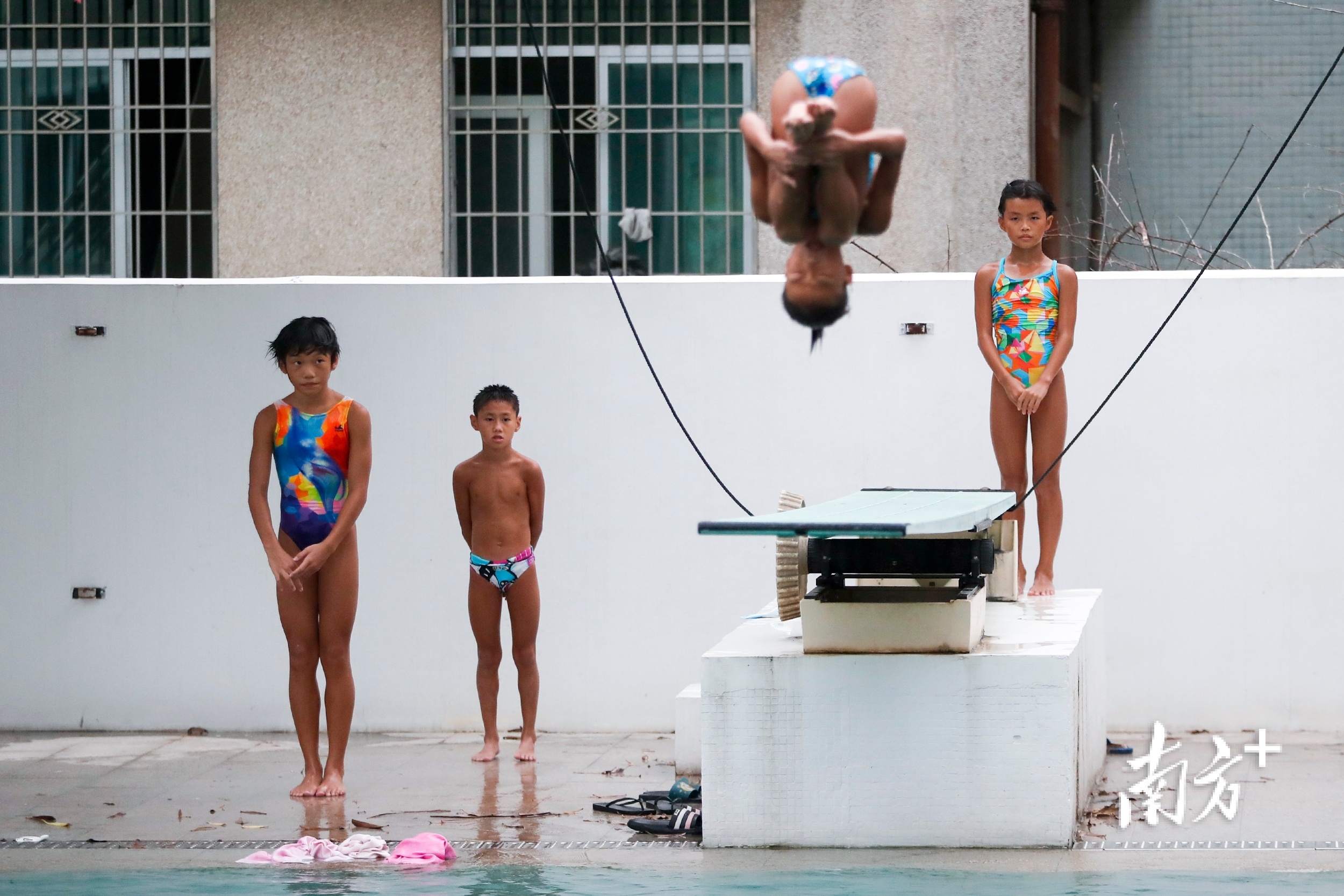 在汕头体校的水上训练池，学员间也需要相互观察和学习彼此间的跳水姿势。