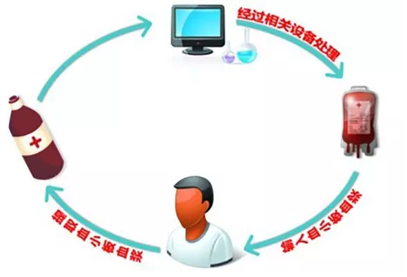 世界献血者日:8条关于献血的真相和谣言_辟谣