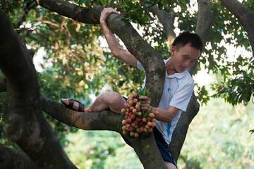 网传唐山数百只狗待领养 动保组织辟谣:骗局 _