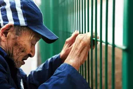  31527名罪犯 被 特赦 完成 哪些人被释放?_重磅