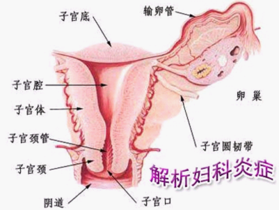 珠海博爱妇产医院三联导入疗法治疗<em>阴道</em>炎效果