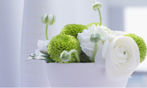 广州玛莱妇产医院子宫肌瘤剔除术优惠1500元