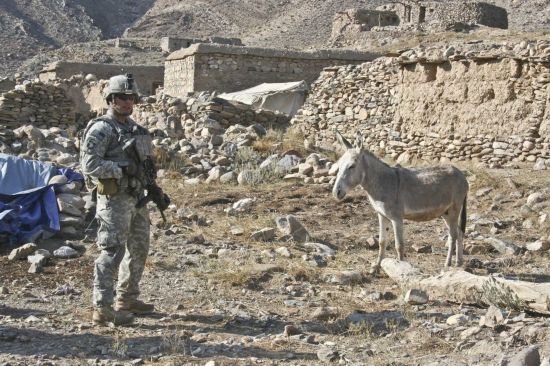 国内骑驴 3018749139604064047.jpg