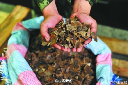 穿山甲鳞甲只是角质化的皮肤附属物而已,其鳞片中各氨基酸组成和猪蹄