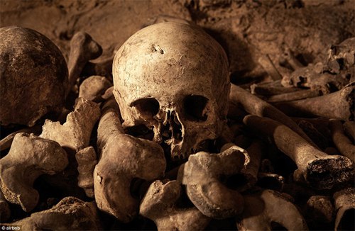 全球最恐怖"卧室":内藏600万骷髅骨骼