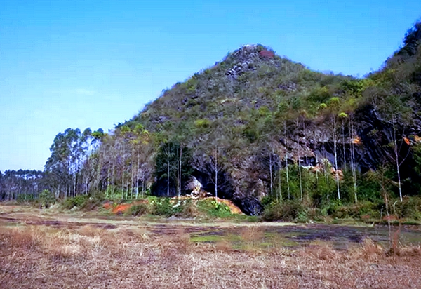 考古新發現:廣東英德青塘遺址出土的