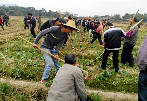 農村綜合改革將浛洸鎮石腳下村變