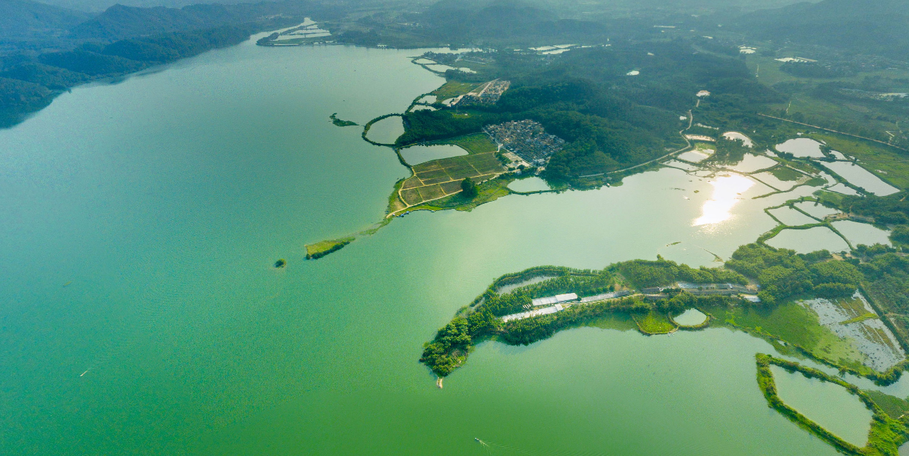 湖北洪湖市大沙镇图片