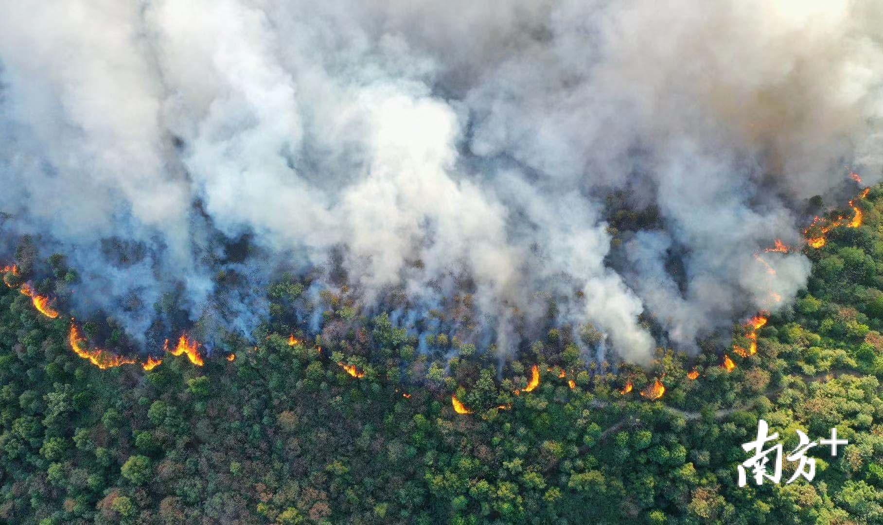 佛山山火得到控制 九支专业森林消防队正有序扑救