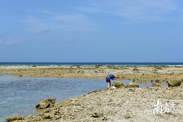 2018年8月,谢强在西沙群岛羚羊礁上工作.陈水浩 摄