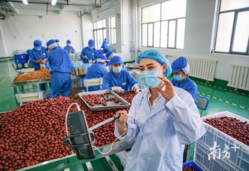 喀什"迪丽热巴":直播带货新疆好瓜果