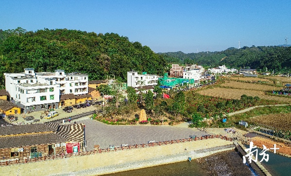 陆奕和所在的连樟村,如今楼房整洁,道路环村,环境优美,红色旅游 的