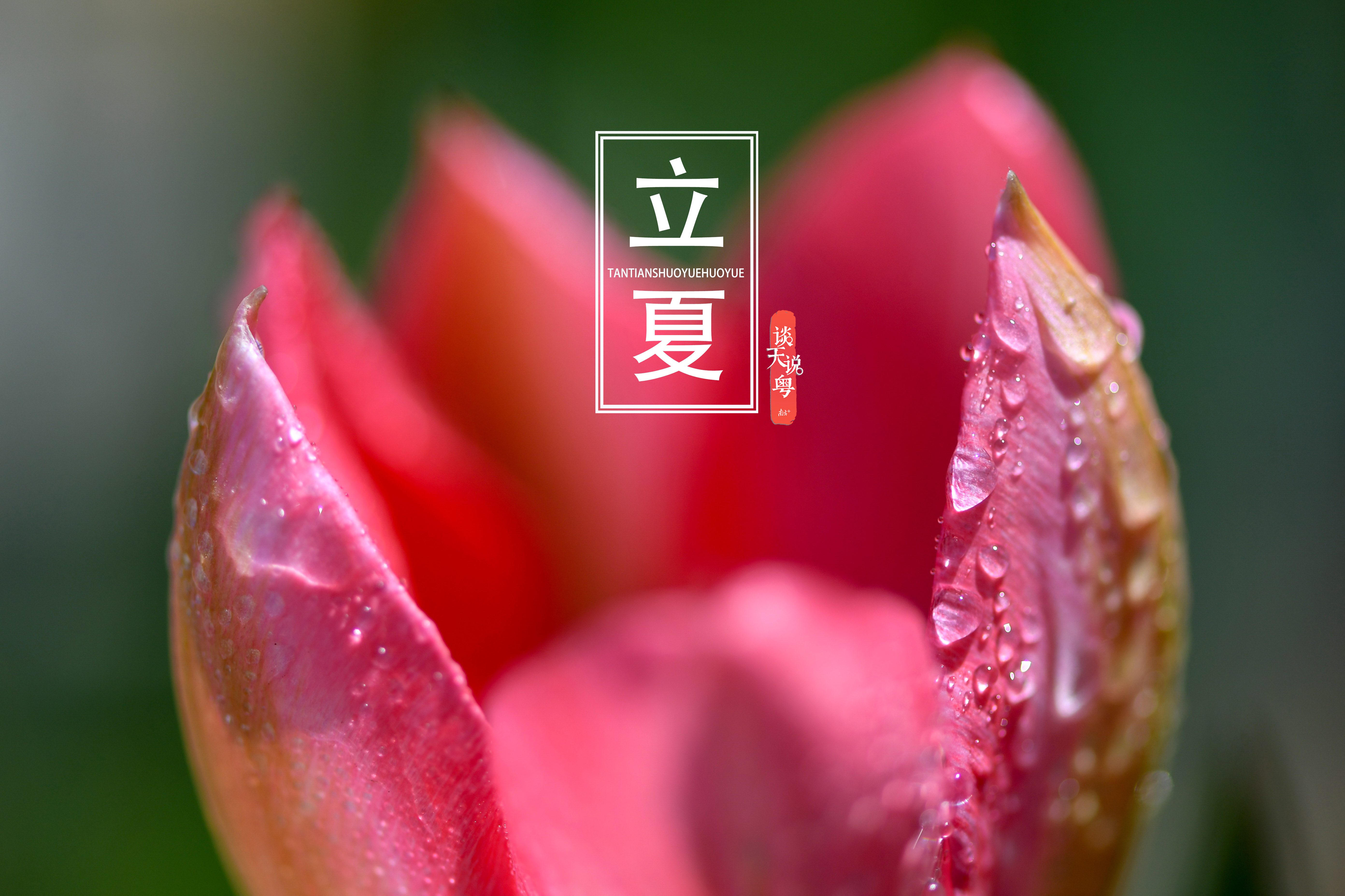 今日立夏:广东最高温36℃!护阳养心是重点 - 生活杂谈 梅州时空