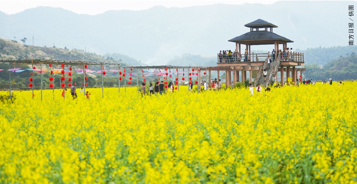 广东十大乡村旅游景区图片